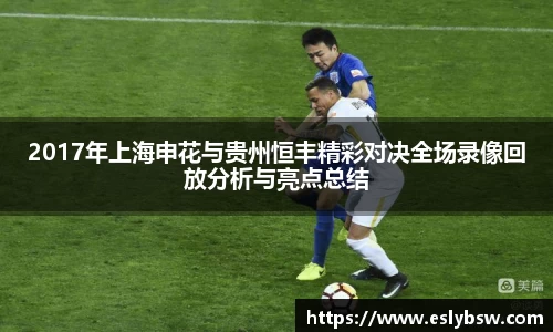 2017年上海申花与贵州恒丰精彩对决全场录像回放分析与亮点总结